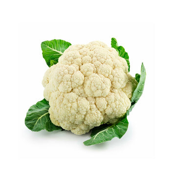 Vegetable Chappan Kaddu Seeds 001 Packs¡ª1Kg