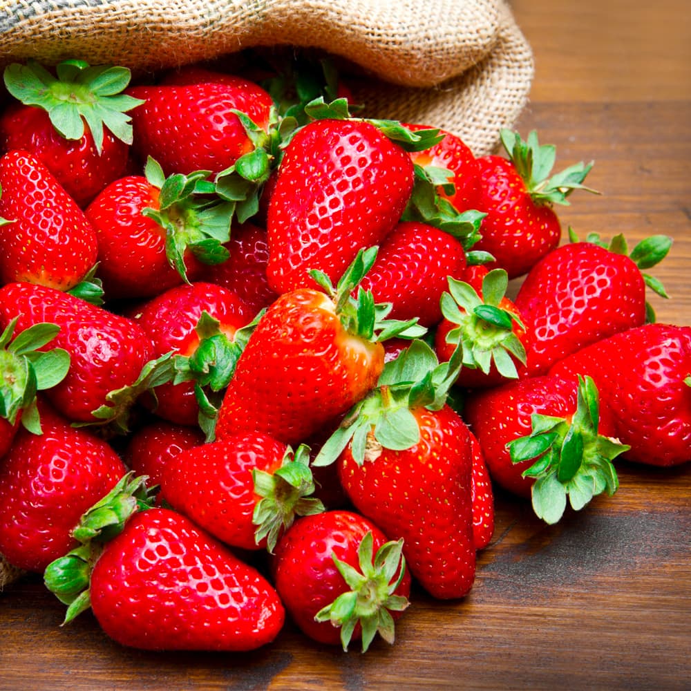 Fresh Organic Strawberries From South France