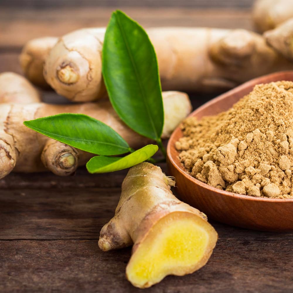 International Fresh Organic Ginger Premium Export
