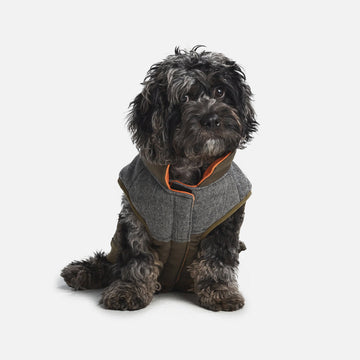 Waterproof Ripstop Dog Coat¡ªOlive