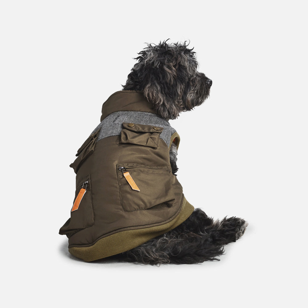 Waterproof Ripstop Dog Coat¡ªOlive