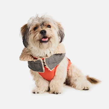 Sherpa Fleece Dog Coat¡ªOrange