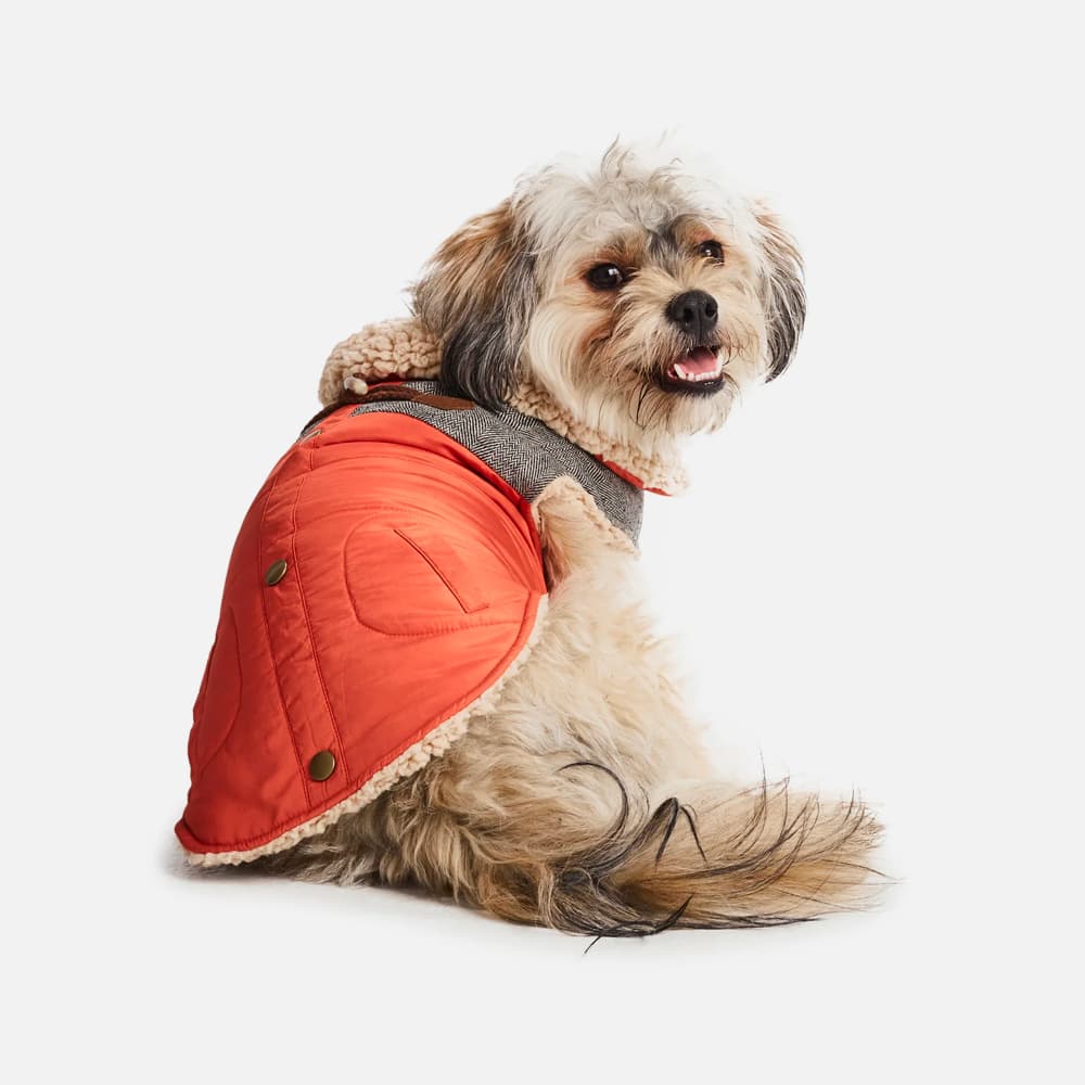 Sherpa Fleece Dog Coat¡ªOrange