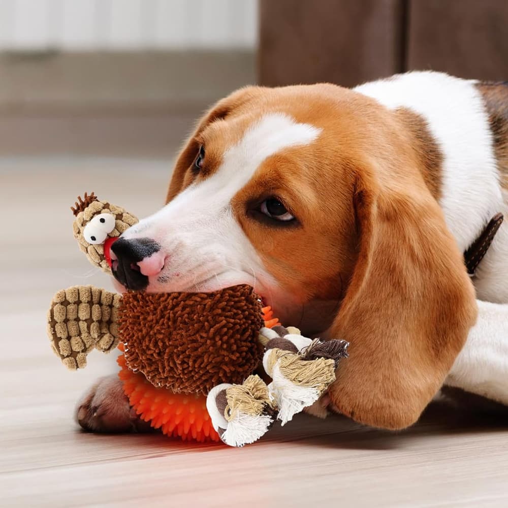 Pets Gigglers Chicken¡ªDog Toy