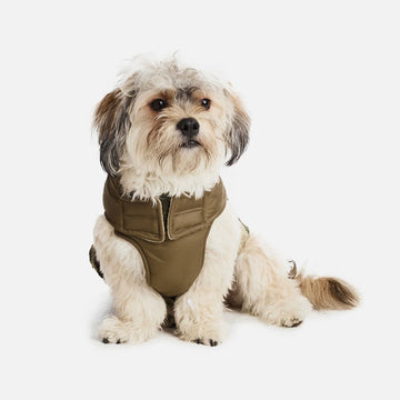 Sherpa Dog Vest¡ªOlive