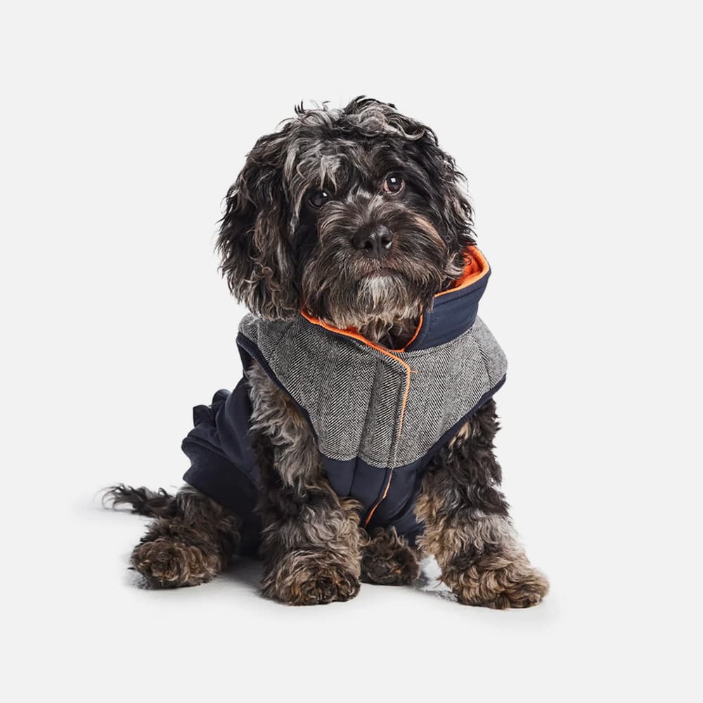Waterproof Ripstop Dog Coat¡ªBlue