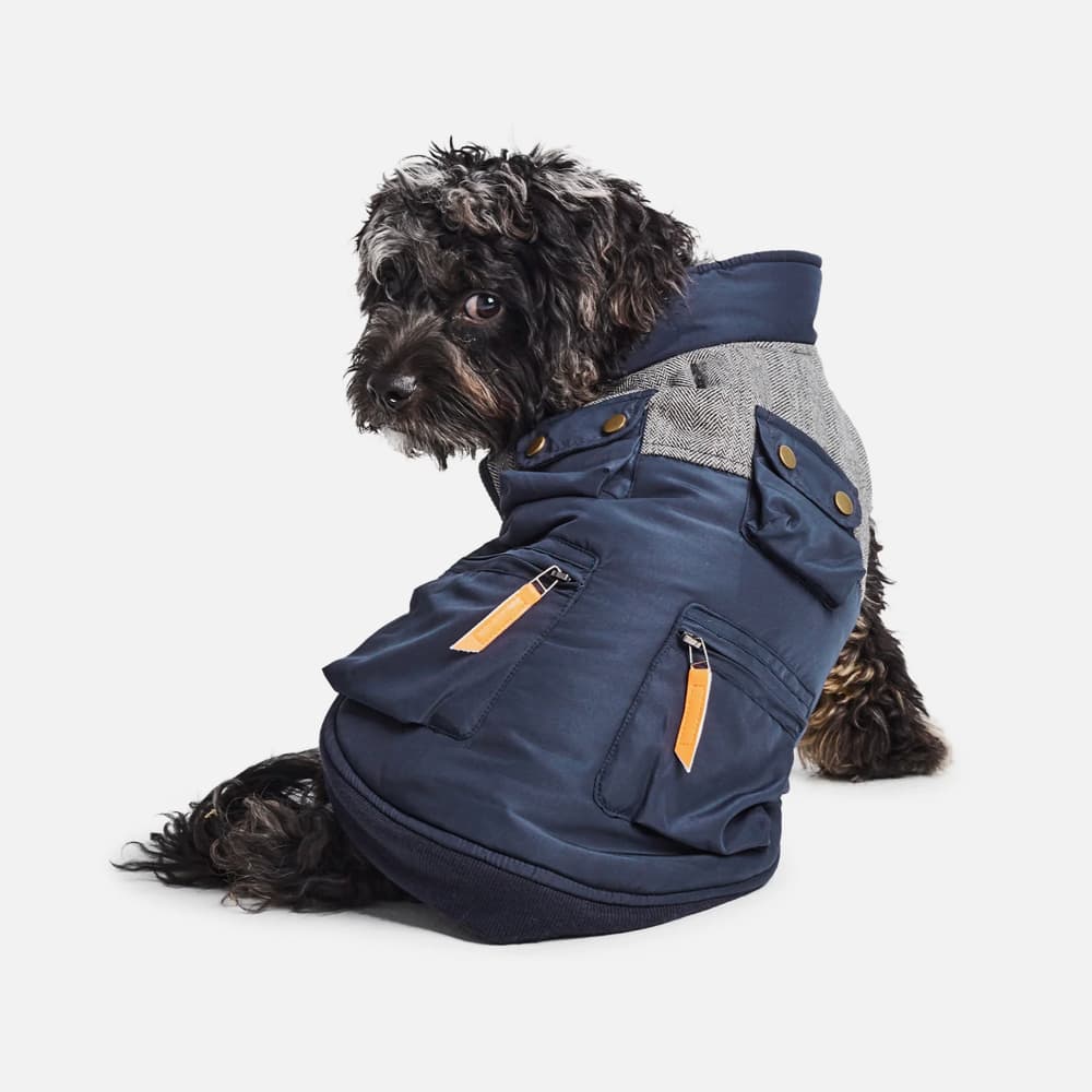 Waterproof Ripstop Dog Coat¡ªBlue