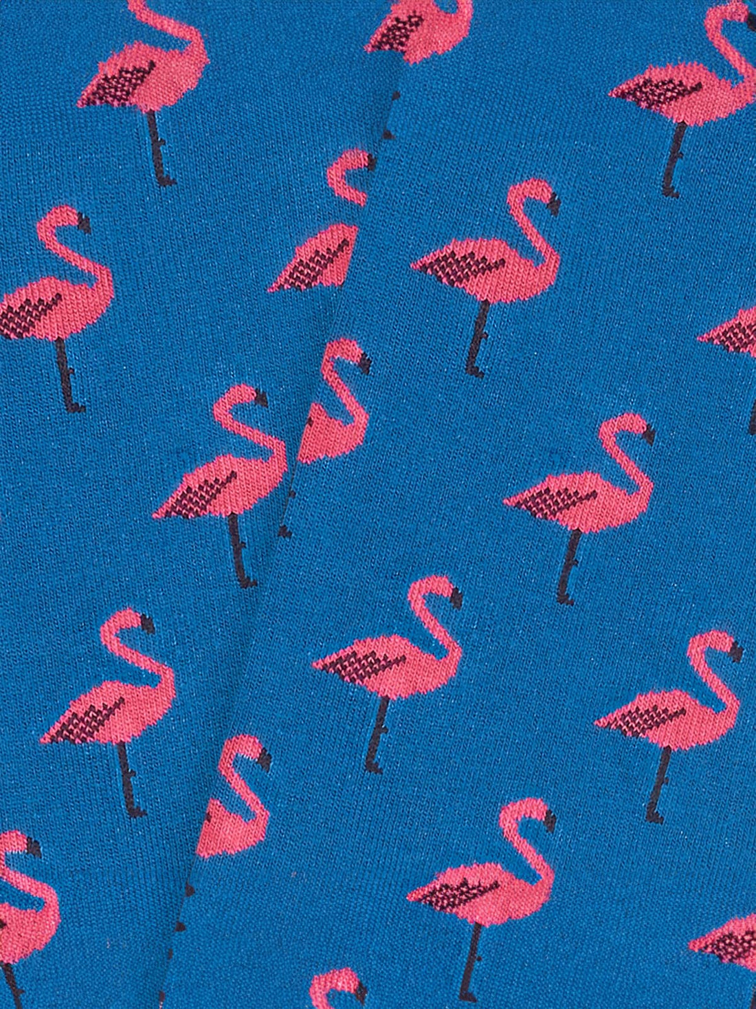 Flamingo Socks Blue